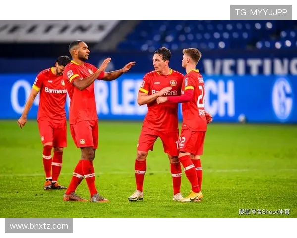 霍芬海姆为何被称为德甲霍村 揭秘这座小镇如何崛起成足球强队