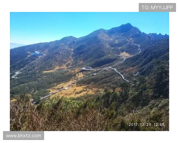 阿维兰热时代世界杯假球疑云与权力博弈内幕揭秘风波真相调查全景解析 阿维兰热时代世界杯假球疑云与权力博弈内幕揭秘风波真相调查全景解析